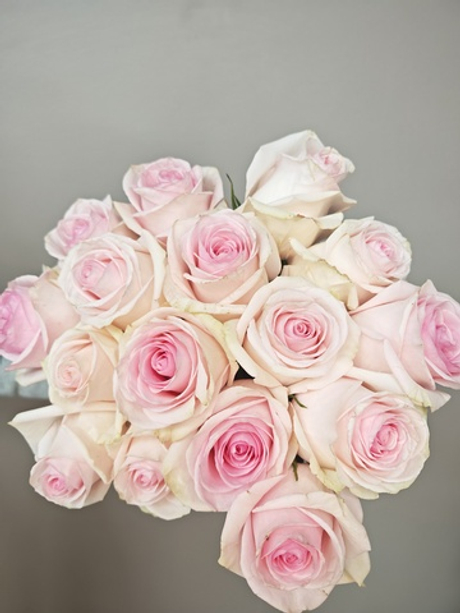 Розовая нежная