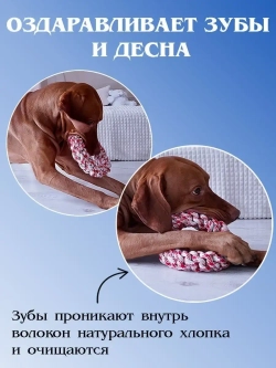 Кольцо каната пуллер для собак