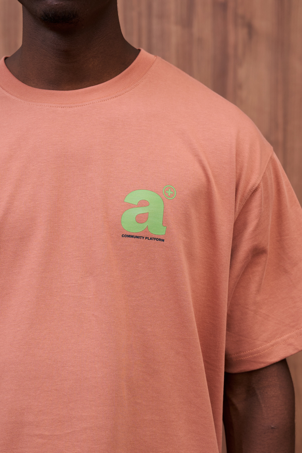 Футболка Appetite High Mark FWD Tee "Light Brick"