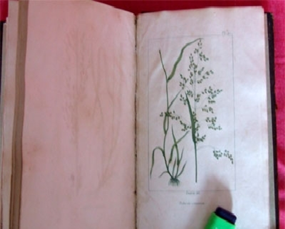 "Traite des prairies naturelles et artificielles (Обработка естественных и искусственных лугопастбищных угодий)". Par M.Boitard (Жозеф-Эдуард Буатард ). 1827г. - антикварное издание