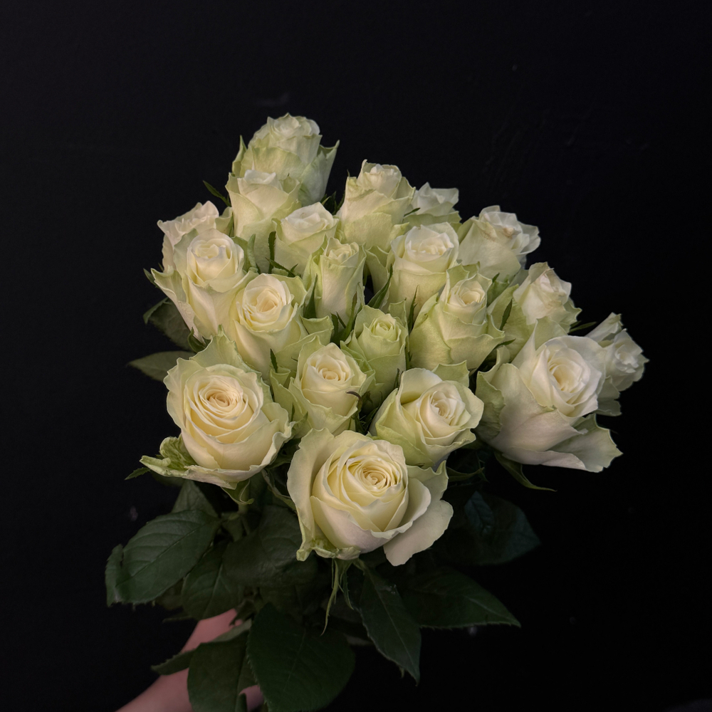 Роза кенийская белая 40 см / 1 шт