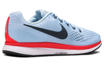 Кроссовки Nike Pegasus 34