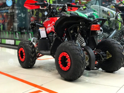YACOTA RENEGADE mini 110 (красный)