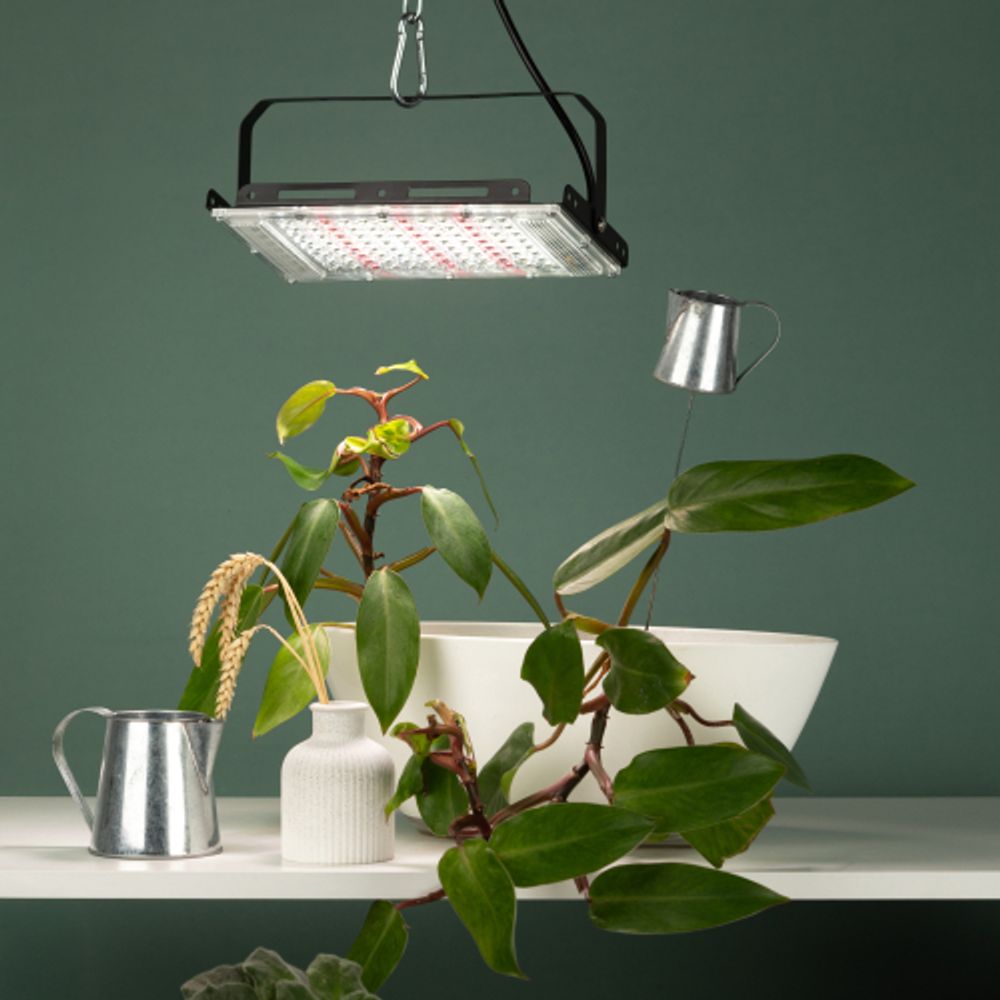 Фитопрожектор для растений светодиодный ЭРА FITO-80W-Ra90-LED-Y полного спектра