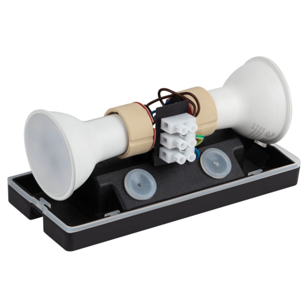 Декоративная подсветка ЭРА WL38 BK MR16/GU10 (2 шт.), черный, для интерьера, фасадов зданий | Фасадная декоративная подсветка