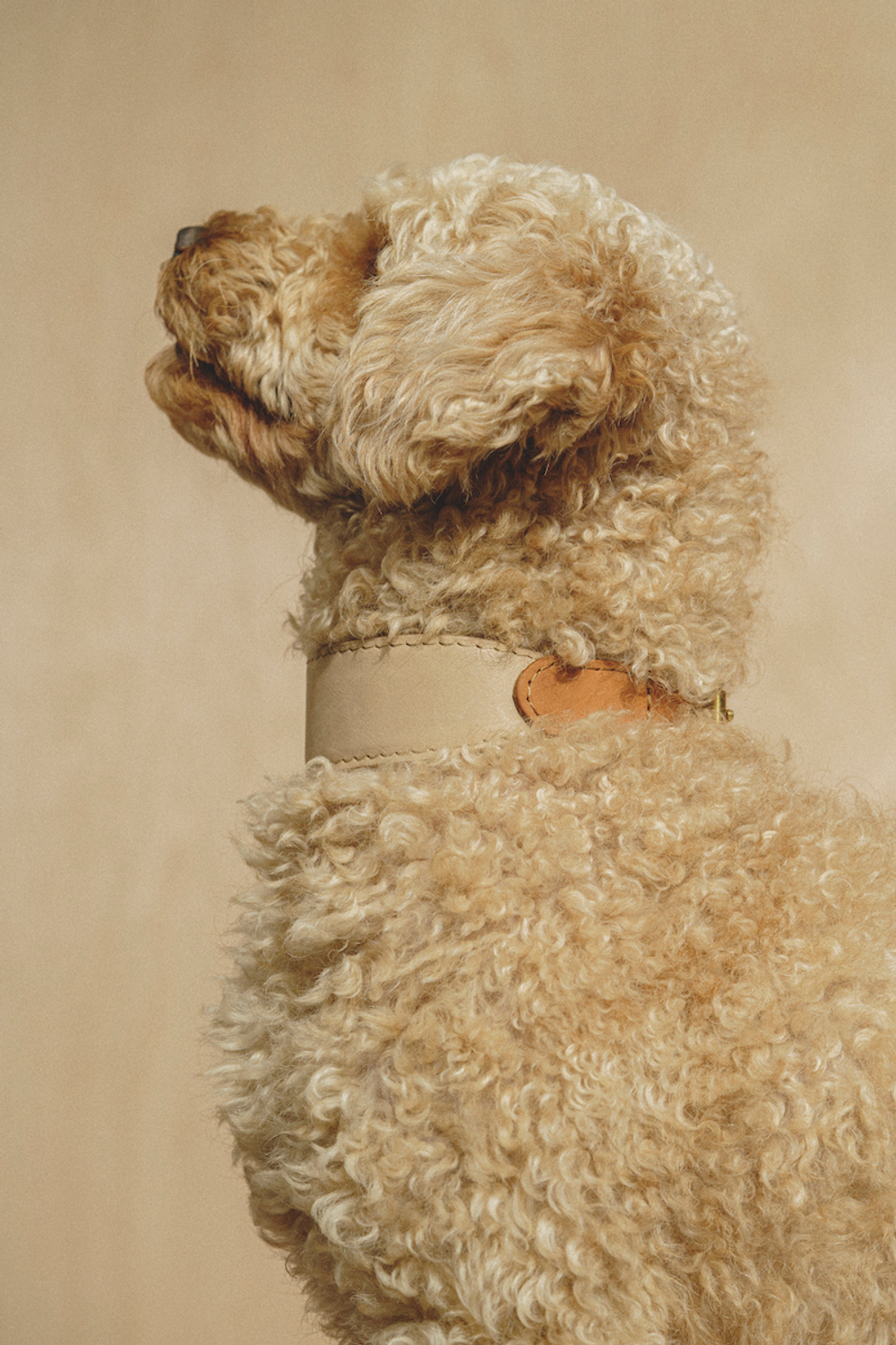 Ошейник "Пони-узелкони" Бежево-рыжий