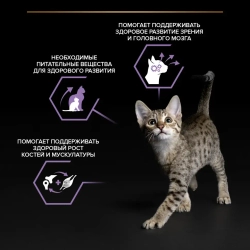 Pro plan 85 г пауч влажный  корм для котят, с говядиной в соусе
