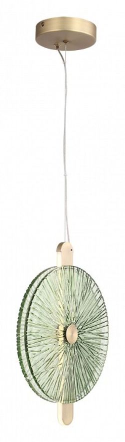 Подвесной светильник ST-Luce WASI SL6141.323.01