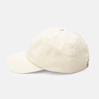  Кепка Dickies Duck Canvas Cap артикул:DK0A87NFL171 - купить в магазине Дайс