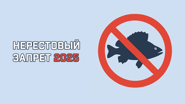 Общие сроки весенне-летних нерестовых запретов в 2025 году в различных федеральных округах России