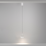 Подвесной светильник Maytoni P102PL-12W4K-W