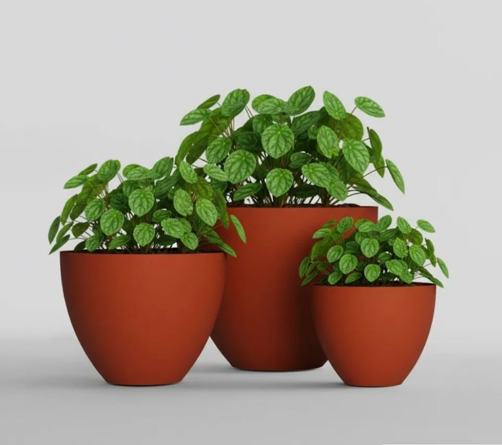 Кашпо, коллекция КОЛОР, форма УПОН