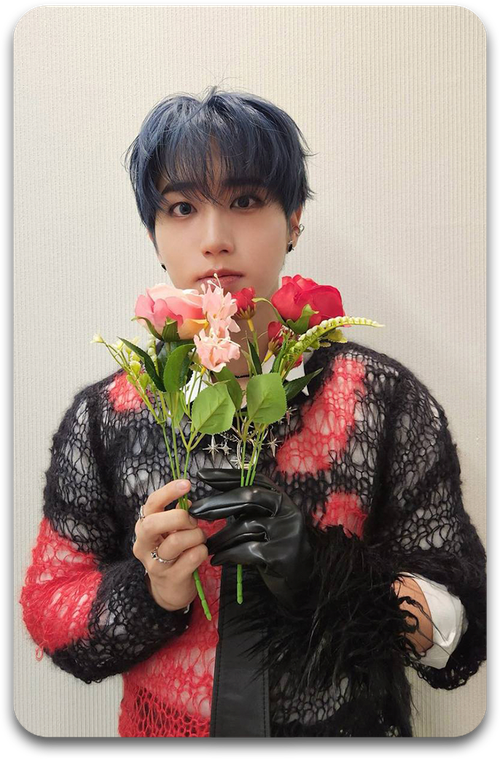 Карта / STRAY KIDS #2648