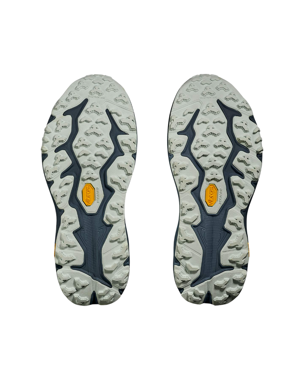Кроссовки женские Hoka Speedgoat 6 GTX