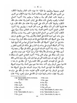 Материалы из арабских источников для культурной истории Сасанидской Персии. Приметы и поверья | К.А. Иностранцев