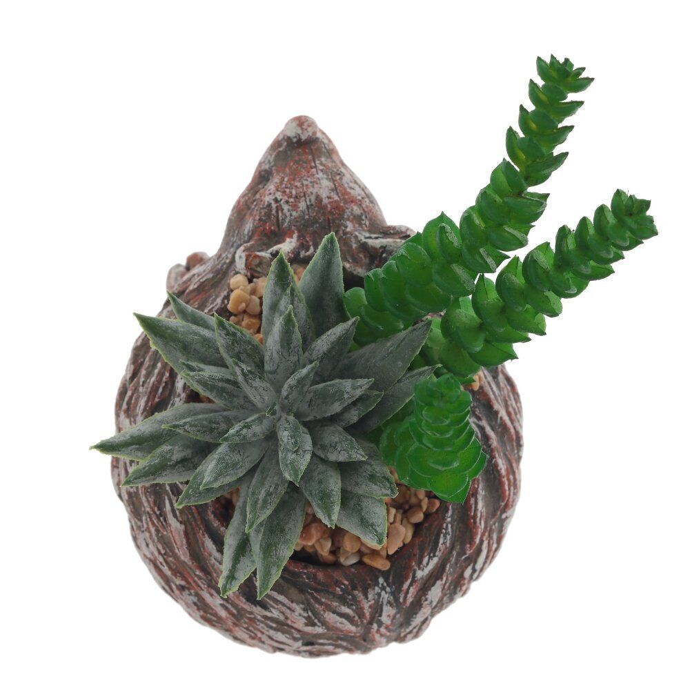 GAEM Цветочная композиция "Суккулент", L14 W12 H12 см, 4в.