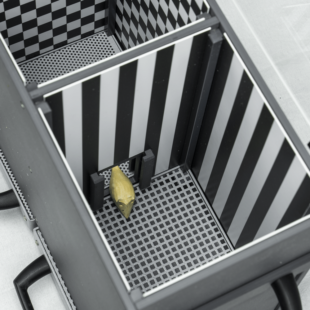 Бокс для оценки предпочтения места (CPP)