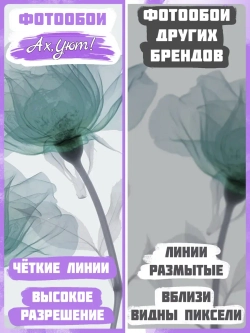 Фотообои флизелиновые синих цветов