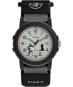 Мужские наручные часы Timex TW4B29100