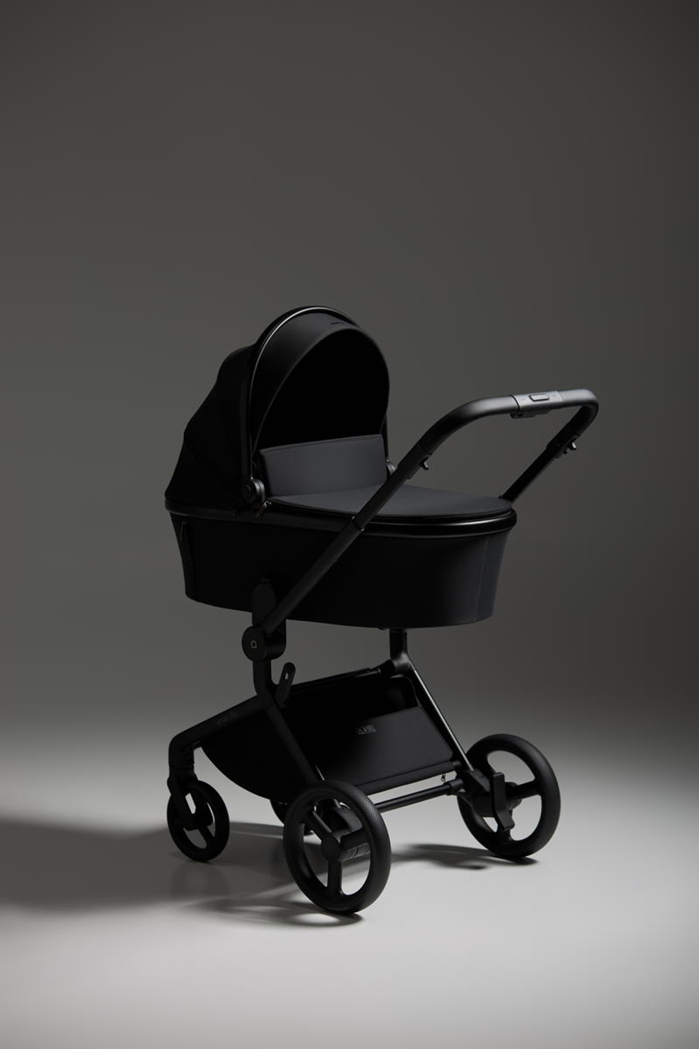 Детская коляска Anex Flo 2 в 1 Lungo