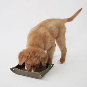 Лоток для мелочей из натуральной кожи теленка, зеленого цвета