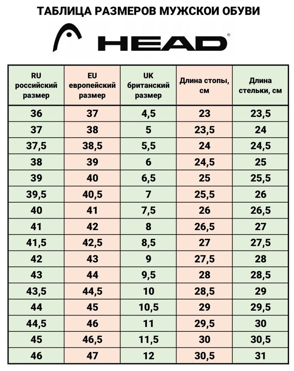 Кроссовки тен. муж. HEAD Revolt Evo 2.0 Men, 273325 р.10,5 (рос.44), полиэстер, резина, темно-синий