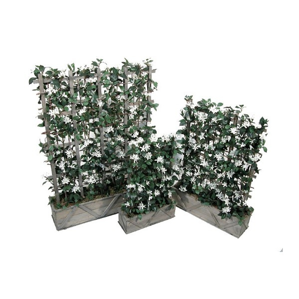 Композия из плюща с жасмином 40х60 см [Арт. 3698821]