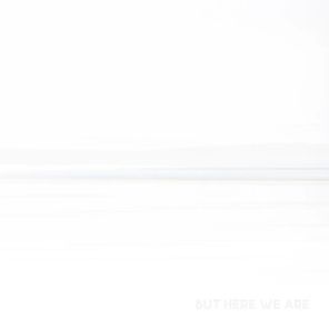 Foo Fighters / But Here We Are (LP)