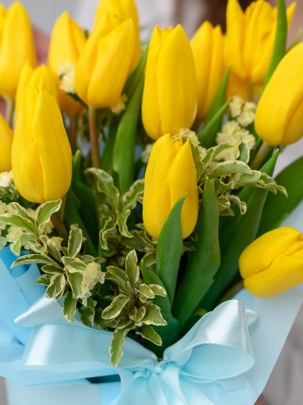 Немного солнца в холодной воде