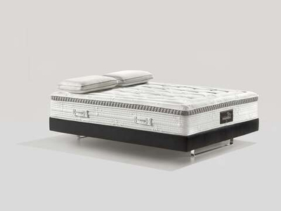 AUDACE ARMONIA MEMOFORM DUAL 12