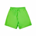 Купить Шорты ZNY LOGO SS22 Зеленые Шорты ZNY LOGO SS22 Зеленые