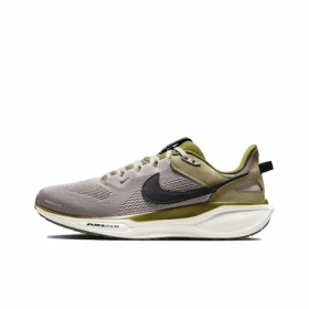 Мужские кроссовки Nike Air Zoom Pegasus 41 'Faded Spruce' HQ6025-001