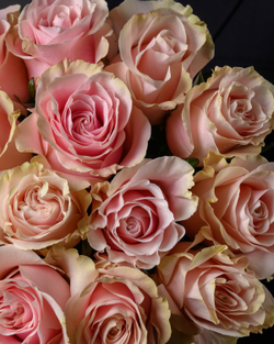 Монобукет розовый