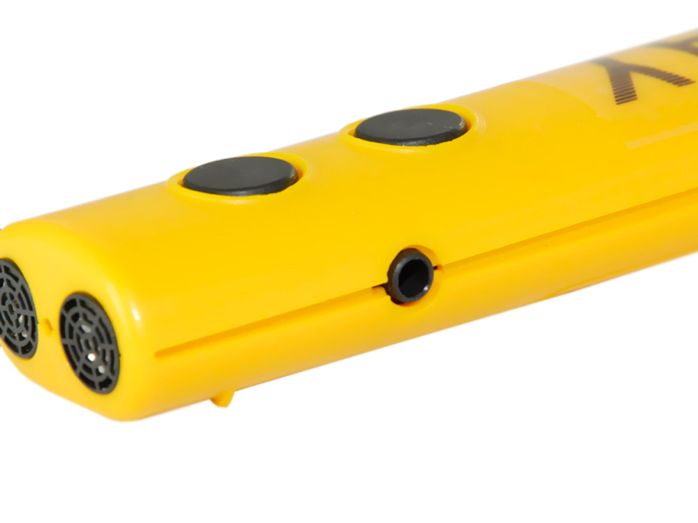 Электронная трость RAY