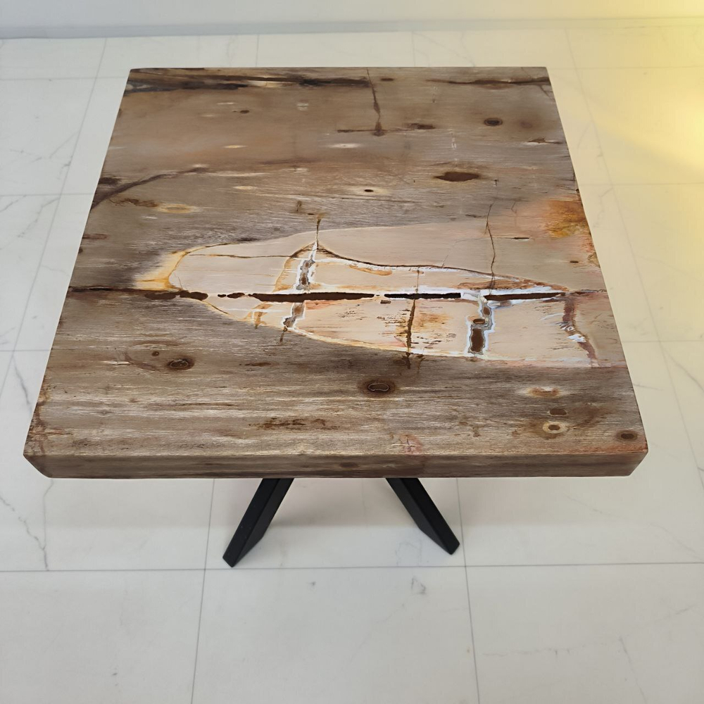 Столешница из окаменелого дерева ST-64188 Богор (0149) 50*50*15