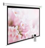 Экран  Cactus CS-PSME-240X240-WT