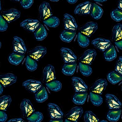 Бабочки на черном