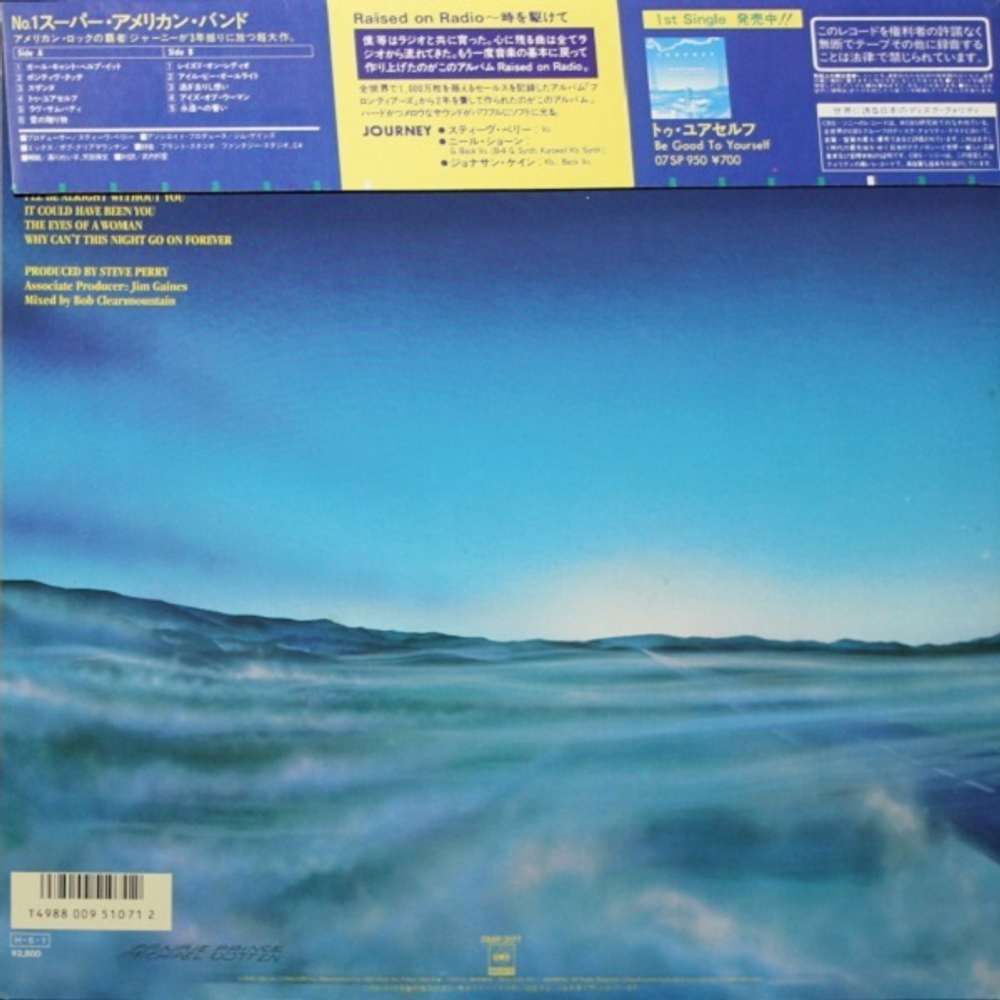 Journey / Raised On Radio (LP)