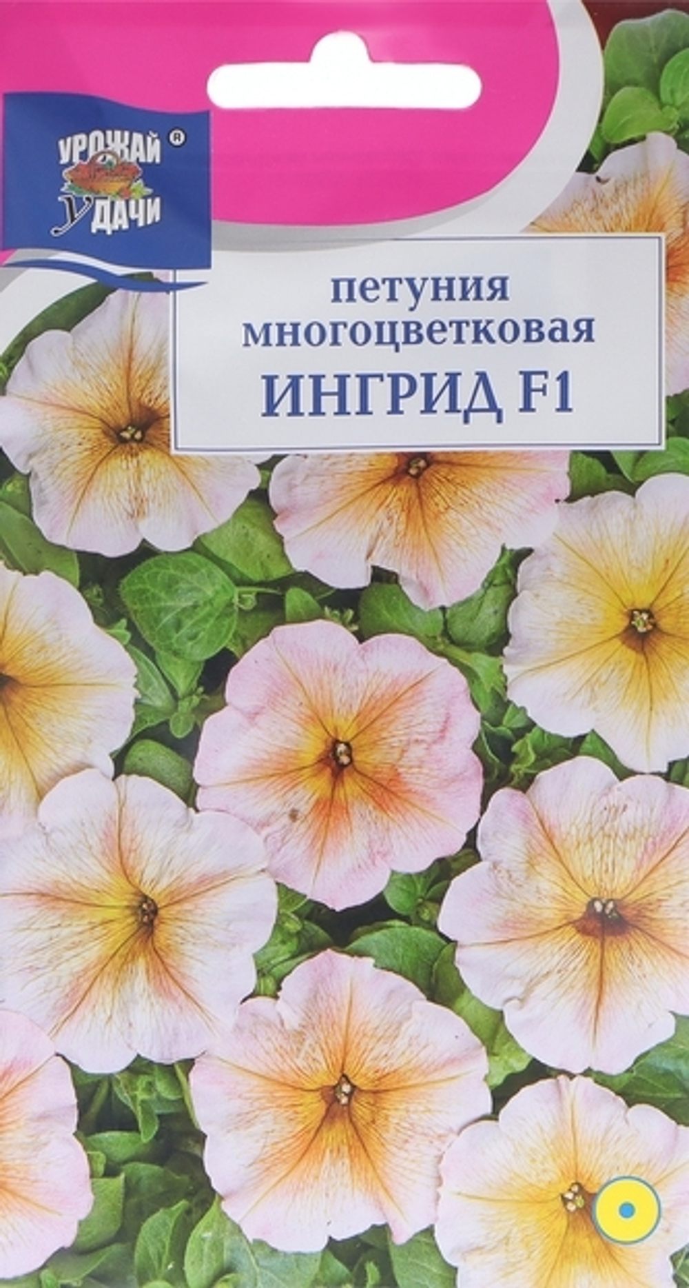 Петуния F1 Ингрид