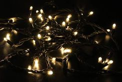 Светодиодная нить 100 теплых белых LED ламп, 10 м., 220В, статика, черный резиновый провод, Teamprof (TPF-S10C-220V-RB/WW)