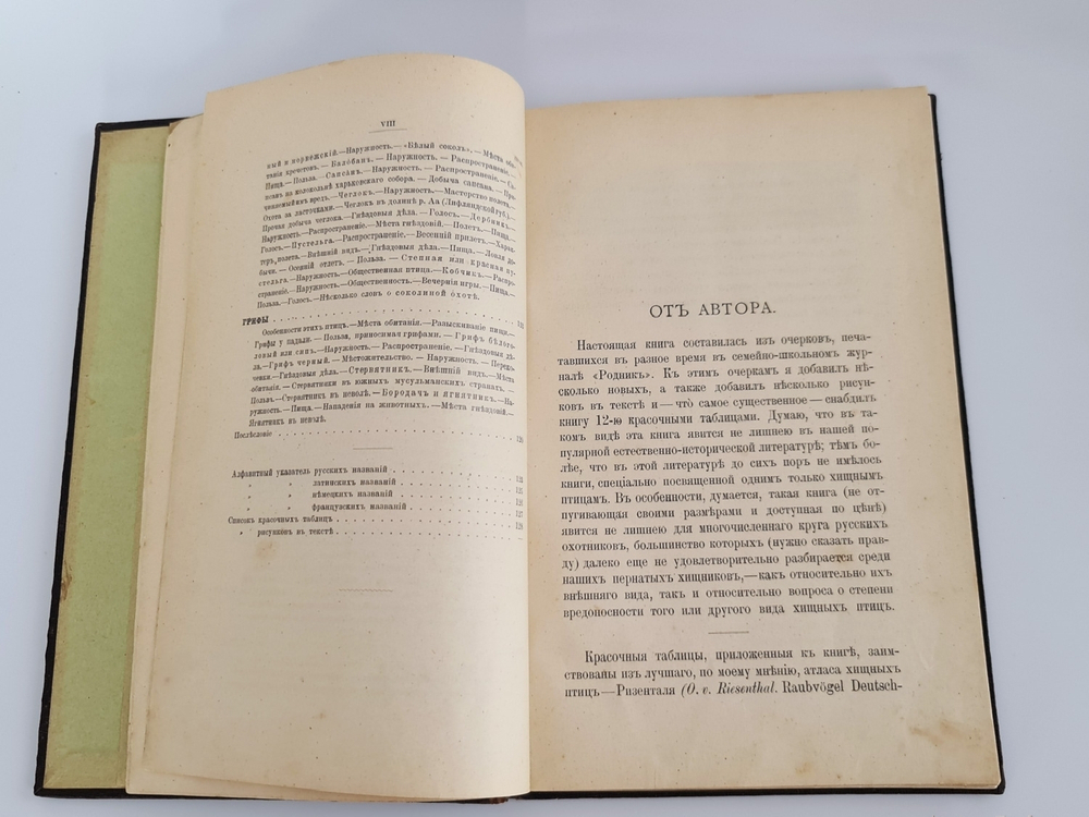 "Пернатые хищники. Популярные очерки из мира русских хищных птиц". Д.Н.Кайгородов. 1906г.