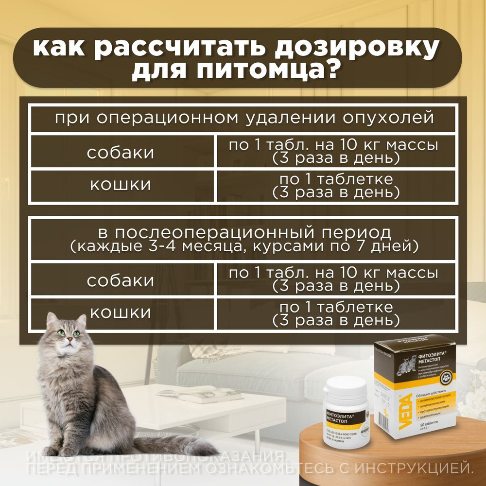 Таблетки для собак и кошек любых пород для детоксикации и в послеоперационный период Фитоэлита Метастоп, 50 таблеток , Экстракты лекарственных трав, VEDA