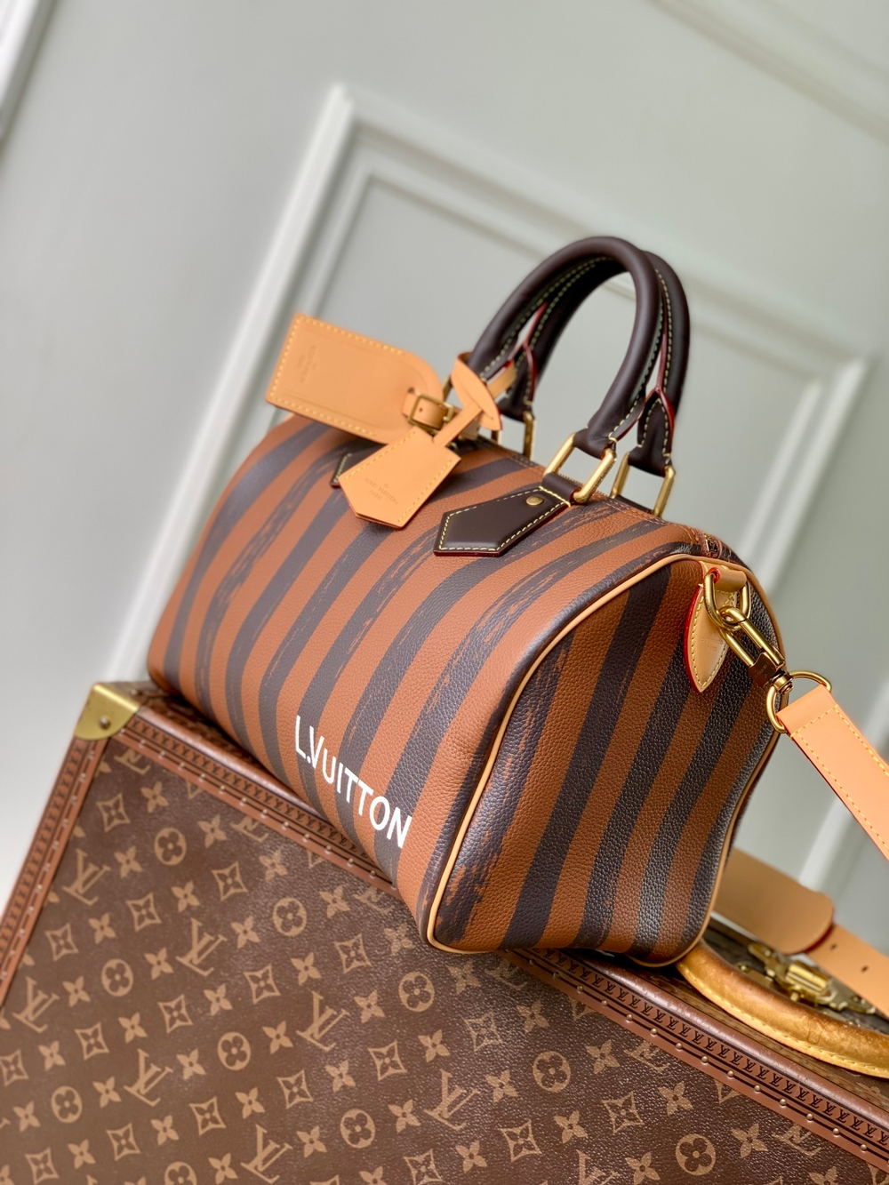 Louis Vuitton Speedy Bandouliere 30