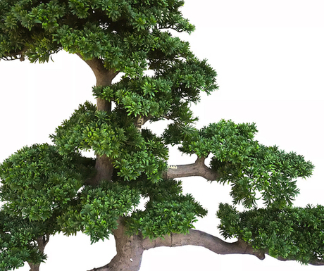 Бонсай 190 см - Зеленый