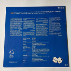 Винтажная виниловая пластинка LP Manfred Mann's Earth Band Chance (Germany 1980)