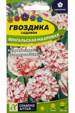 Гвоздика Садовая Бенгальская 0,1 г СМЦ-558