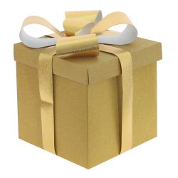 GAEM Коробка подарочная (бумага 350г/м2), L25 W25 H25 см