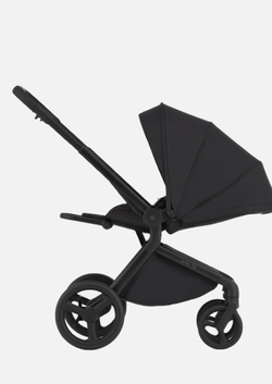 Anex Детская коляска Flo 2 в 1 Lungo