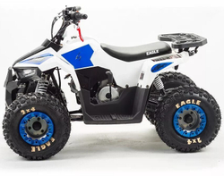 Квадроцикл MZ Eagle 110