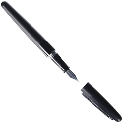 Pilot Cocoon (цвет: Black; перо: Fine 0,3 мм) - купить перьевую ручку с доставкой по Москве, СПб и России